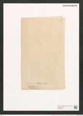 Pleurosigma balticum (Ehr.) W.Sm. (de-Toni-Nr.: Genus 13, Species 1063) Zeichnungen Sammlung Grunow (NHMW-BOT-W0369041)